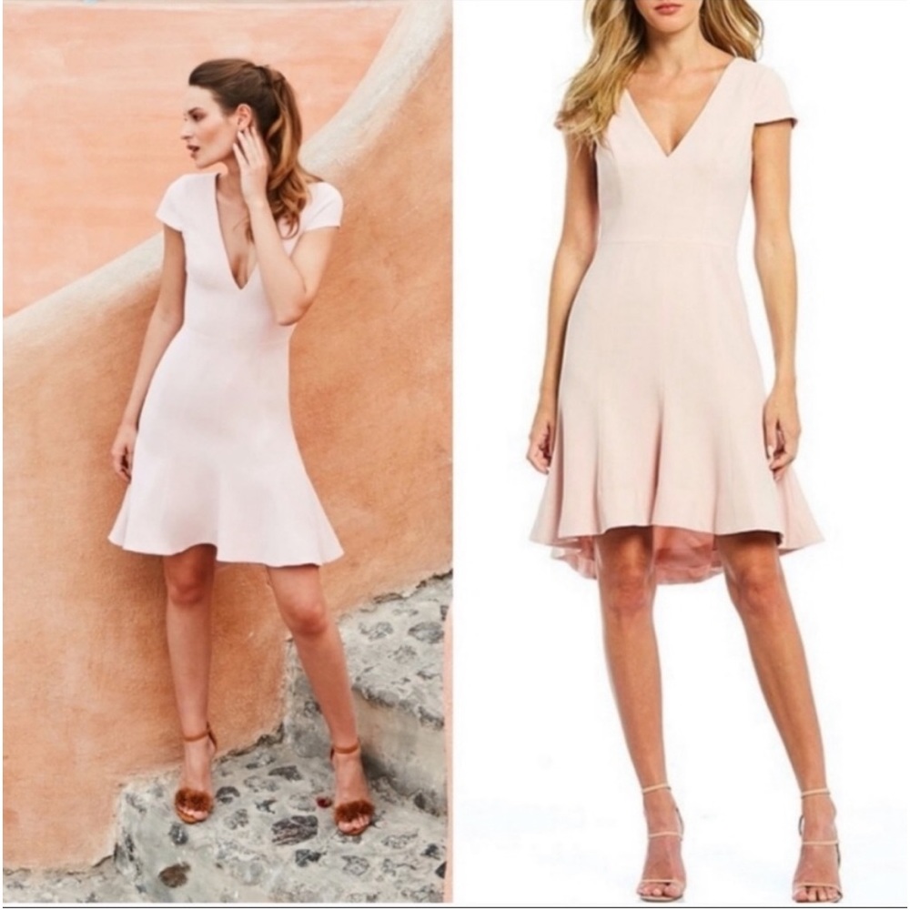 Dress the Population Bettie Dress